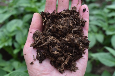 Natural Grower plant feed
